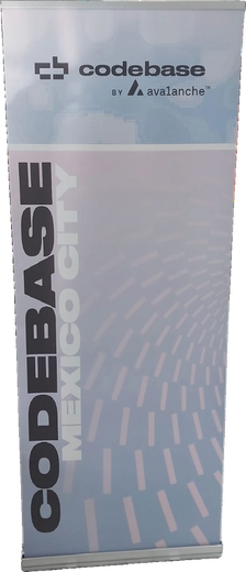 Roll-Up Banner